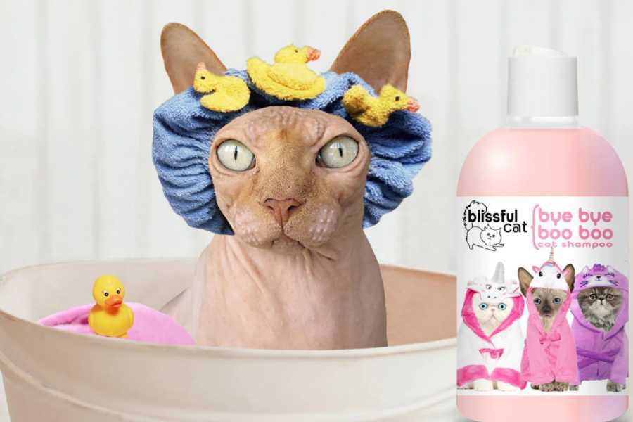 The Best Option: Cat Shampoo