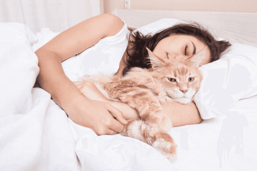 Why Your Cat Sleeps With You
