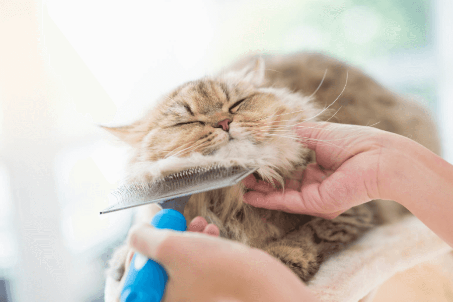 Cat-Cleaning Products