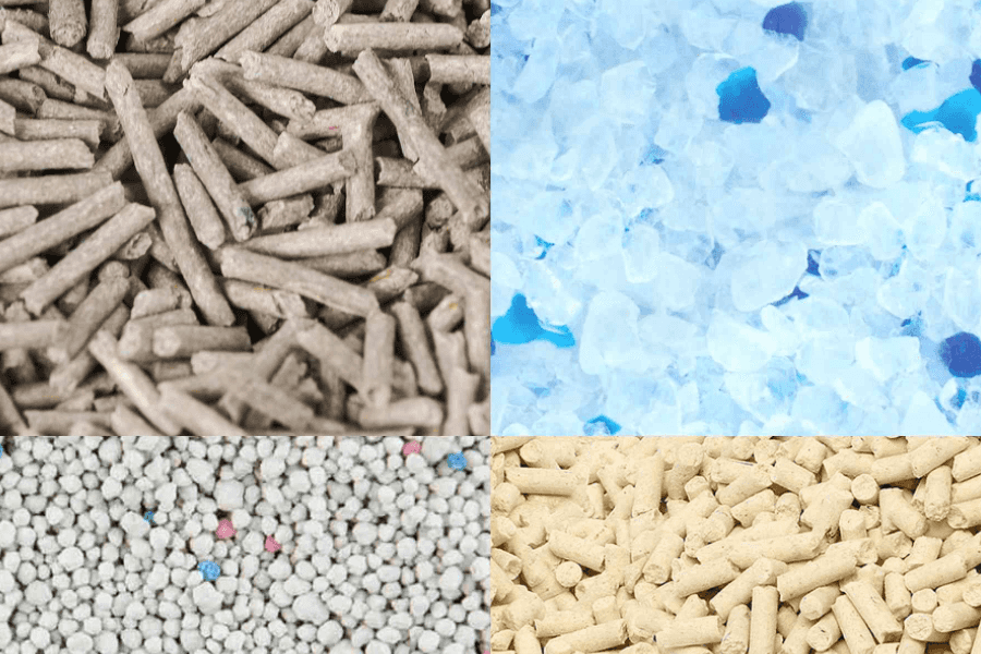 Different types of cat litter