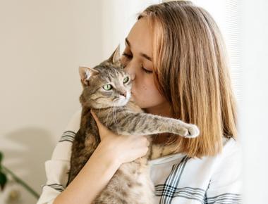 Do Cats Like Kisses? A Deep Dive into Feline Affection