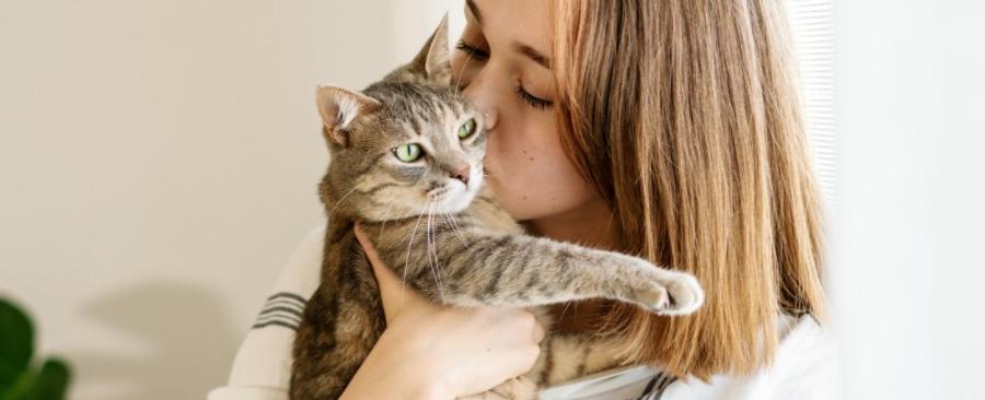 Do Cats Like Kisses? A Deep Dive into Feline Affection