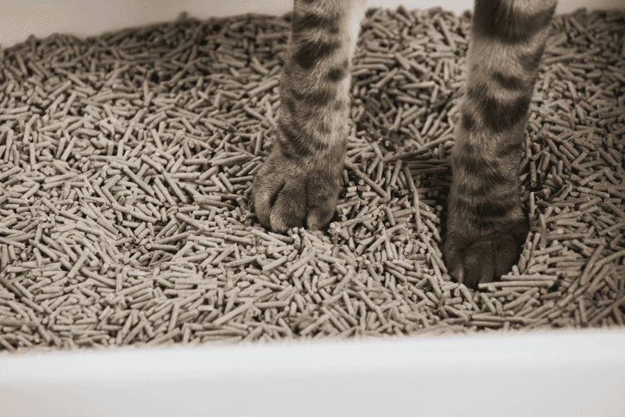 Estimating the Cost of Cat Litter