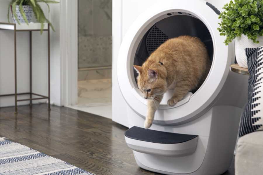 Automatic Cat Litter Box