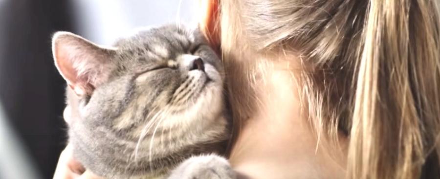 How and Why Cats Purr - Prepare to be Fascinated