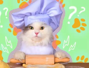 Why do Cats Smurgle | What is Kneading?