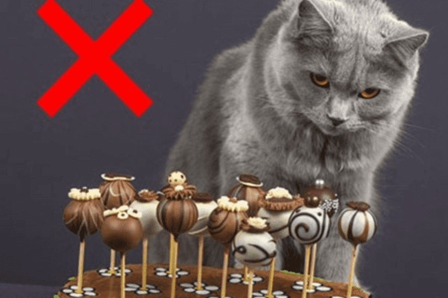 Preventing Chocolate Poisoning in Cats