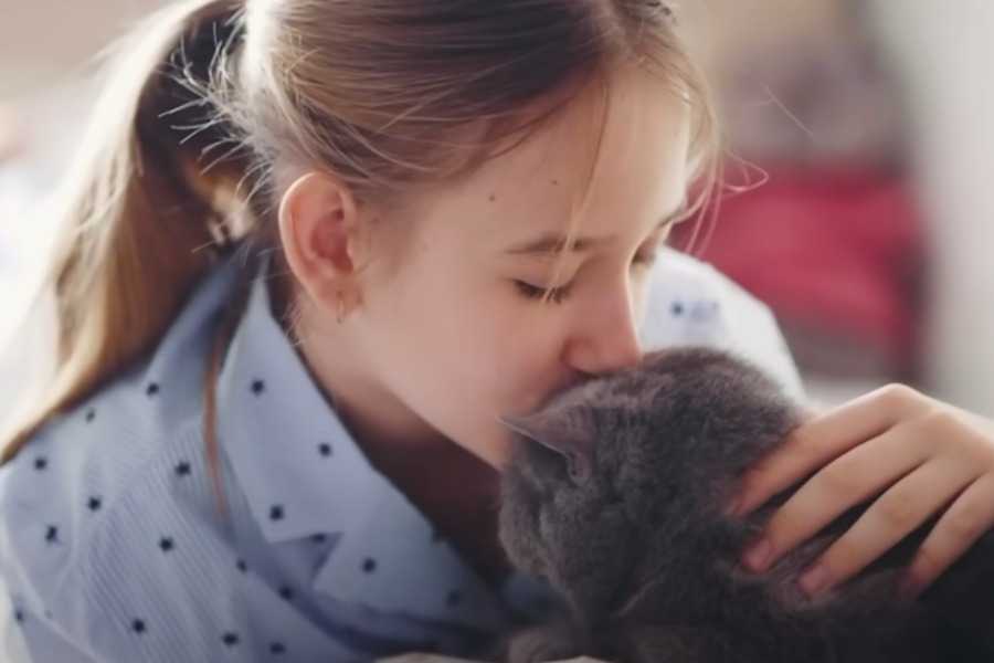 Human Affection vs. Feline Communication